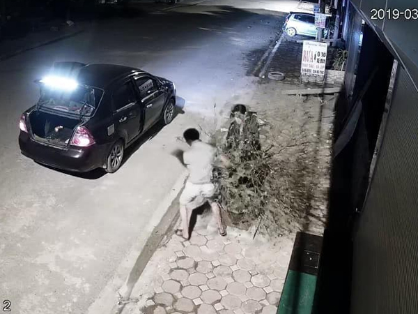Bắc Giang: Đôi nam nữ đi xế hộp chung tay bê trộm cây đào rồi 'lặn' mất trong đêm khuya thanh vắng