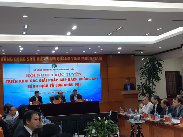 Thủ tướng đang chủ trì hội nghị cấp bách khống chế bệnh dịch tả lợn châu Phi