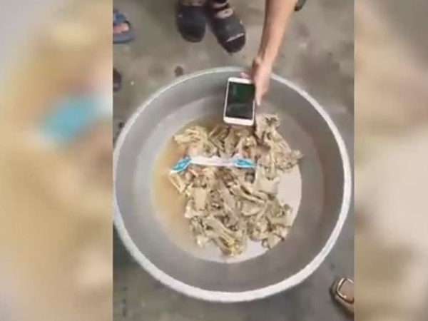 Nghi án dùng thịt lợn có sán chưa dứt, trường mầm non bị tố nhập thịt gà hôi thối