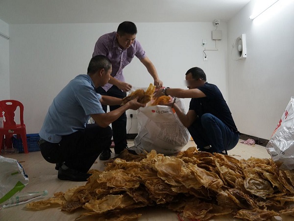 Trung Quốc: Bắt giữ ‘ông trùm’ mạng lưới buôn lậu bong bóng cá quý Totoaba