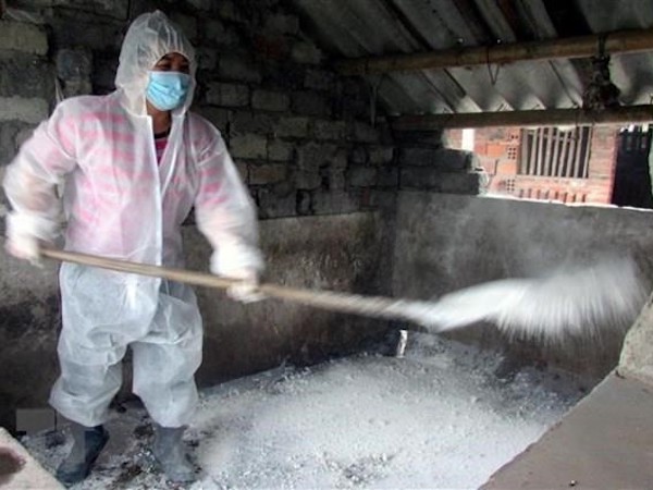 Hưng Yên lập 170 chốt kiểm dịch để ngăn dịch tả lợn châu Phi