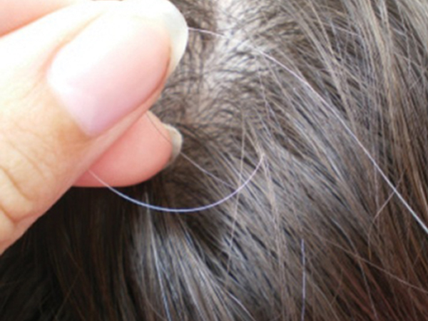 Tóc bạc có nên nhổ: Bác sĩ khẳng định không nên vì rất nhiều tác hại