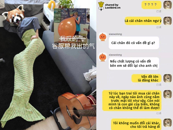 Chàng trai mua mền đuôi cá về đắp, tuyên bố với bạn gái mình là 'con của biển' nên không có chân... làm việc nhà!