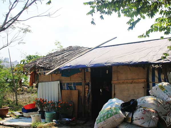 Cuộc đời kỳ lạ trong căn chòi nát trên đất vàng triệu đô Sài Gòn