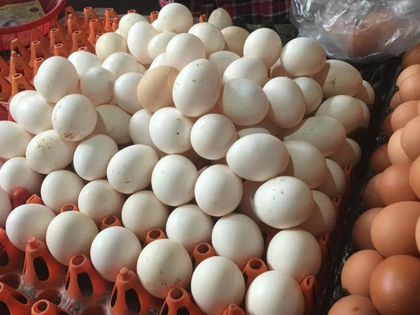 Trứng gà rẻ chưa từng thấy: Lỗ 10 triệu/ngày, vài bữa nữa tôi phá sản