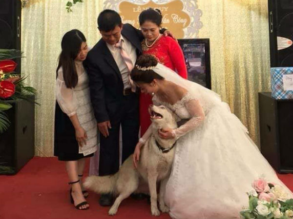MC gọi nhà gái lên chụp ảnh cùng cô dâu, vậy là 'đại boss' chớp ngay cơ hội chiếm trọn spotlight
