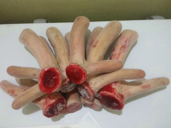 Nhung hươu tăng cường sức khỏe tình dục