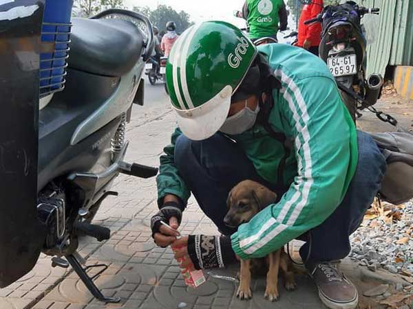 Bắt gặp ánh mắt ám ảnh của chú cún trơ xương bên vệ đường, anh tài xế Grab đã có một hành động hút vạn like