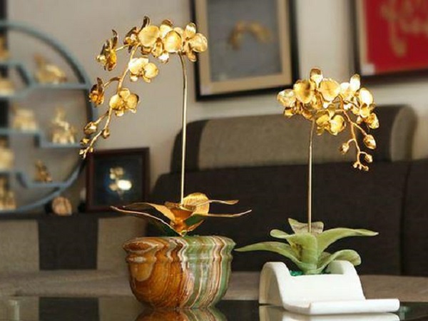Top 5 loài hoa trang trí vừa đẹp vừa mang về tiền bạc cuồn cuộn cho gia chủ