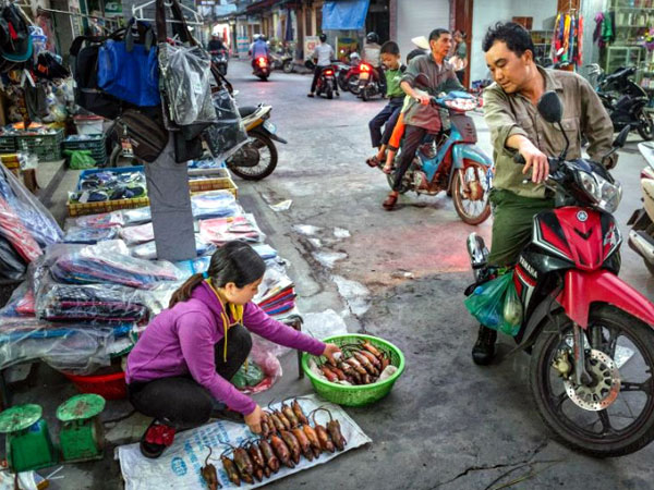 Thịt chuột Việt Nam ngon như phomai que: Tây liều thử rồi mê ngay