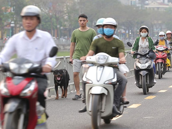 Video: Phố đi bộ mới xây trở thành đường cho xe máy phóng tốc độ cao