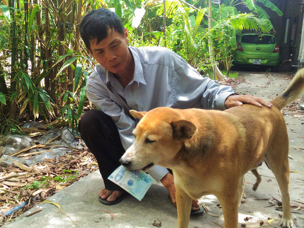 Chủ chú chó bán vé số ở Cà Mau bị điều tra hành vi dâm ô