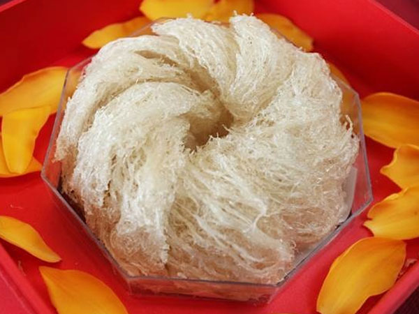 Gom yến sào Việt Nam 100 triệu/kg sang Trung Quốc bán 500 triệu/kg