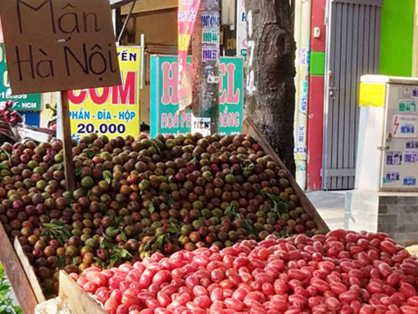 Vài trăm nghìn một kg mận hậu vỉa hè Sài Gòn