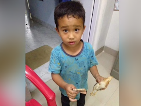 Bé trai Ấn Độ đưa gà đi cấp cứu được tặng giấy khen