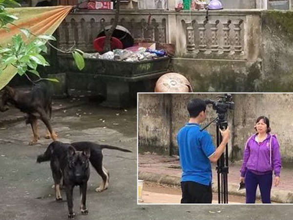 Chủ đàn chó cắn bé trai 7 tuổi tử vong lao ra khỏi nhà uy hiếp, chửi bới phóng viên