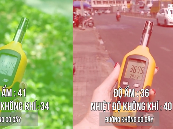 Clip: Sài Gòn nóng bức và đây là sự chênh lệch nhiệt độ giữa đường nhiều cây xanh và đường không một bóng cây