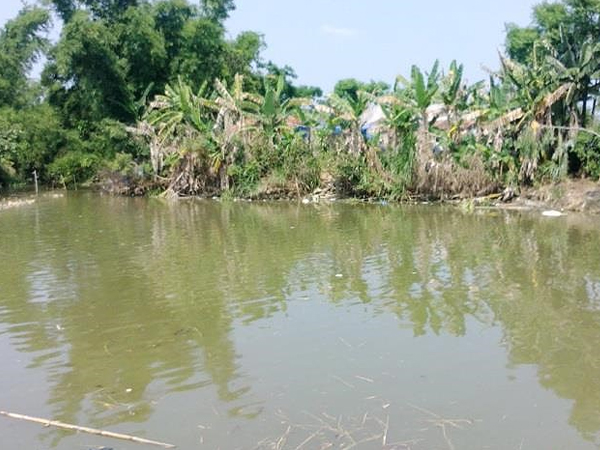 Tối lên chùa tá túc, sáng phát hiện 2 bà cháu tử vong dưới ao