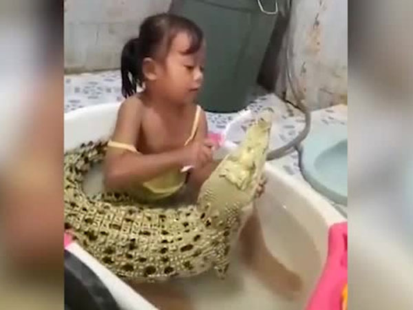 Video: Bé gái đánh răng cho cá sấu trong khi đang tắm chung bồn