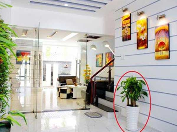 7 mẹo phong thủy giúp chiêu tài, nhà giàu không bao giờ nói cho bạn