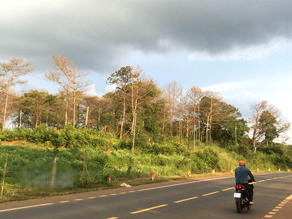 Nguyên lãnh đạo ‘ôm' 40 ha đất, nhận huân chương: Để không ổn, thu dễ bị kiện