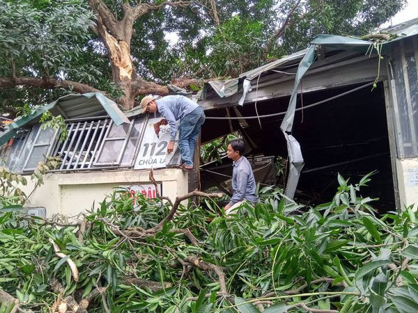 Hà Nội: Cây cổ thụ bất ngờ đổ sập xuống quán ăn, người dân hoảng loạn núp dưới gầm bàn cầu cứu