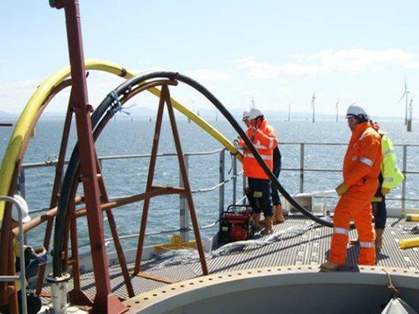 Cáp quang biển Liên Á đã bảo trì xong, cáp nhánh APG vẫn gián đoạn