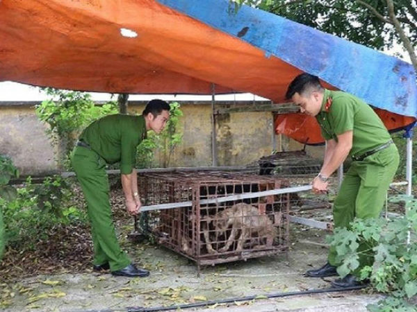Thông tin mới vụ bé trai 7 tuổi bị đàn chó cắn tử vong