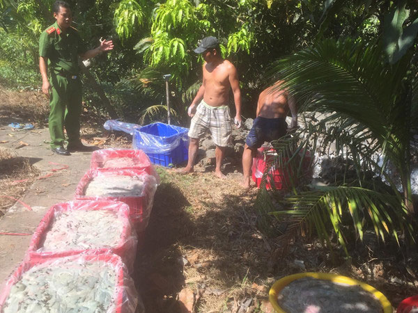 Bắt xe tải chở 700 kg nội tạng hôi thối mang về miền Tây