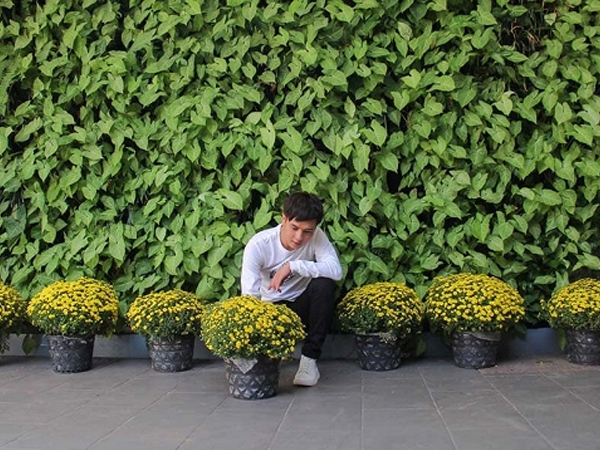 Được hỏi 'Làm ca sĩ sao mua được nhiều đất thế', Hồ Quang Hiếu trả lời cực lầy lội khiến fan 'ngã ngửa'
