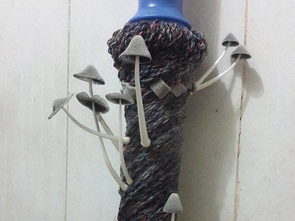 Cộng đồng mạng xôn xao trước hình ảnh nấm mọc ra từ gậy lau nhà: Bằng chứng hùng hồn của việc gái xinh ở bẩn