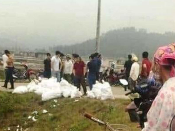 23 tải ma túy vứt lề đường có giá ước tính vài trăm tỷ đồng