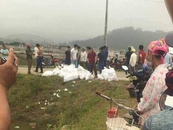 6 vụ ma túy khủng bị triệt phá từ đầu năm 2019