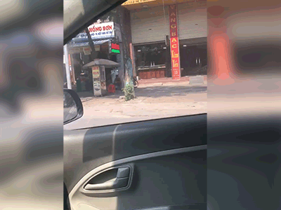 Video: Chị ninja bình thản giữa đám đông, nhưng người đi đường thì lại không