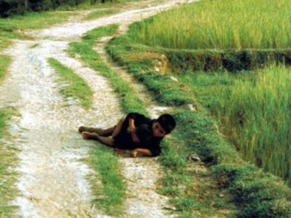 'Anh che đạn cho em' ở Mỹ Lai: Bức ảnh trở về với sự thật