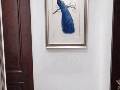 Khi con muốn làm 'Người nhện' và bố sẵn sàng biến giấc mơ đó thành hiện thực, kết quả sẽ hài hước thế này