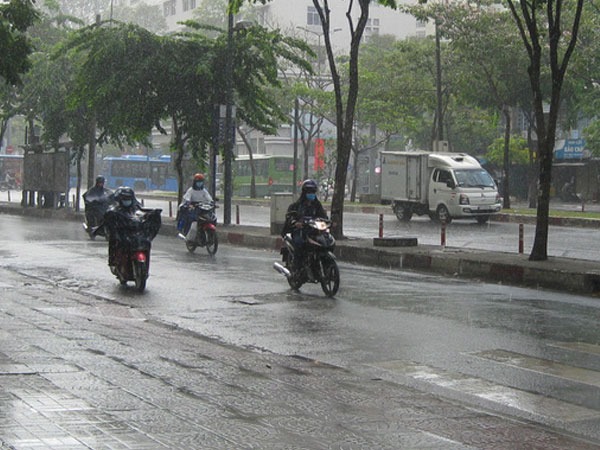 'Mưa vàng' rơi trên TP.HCM ngày đầu nghỉ lễ