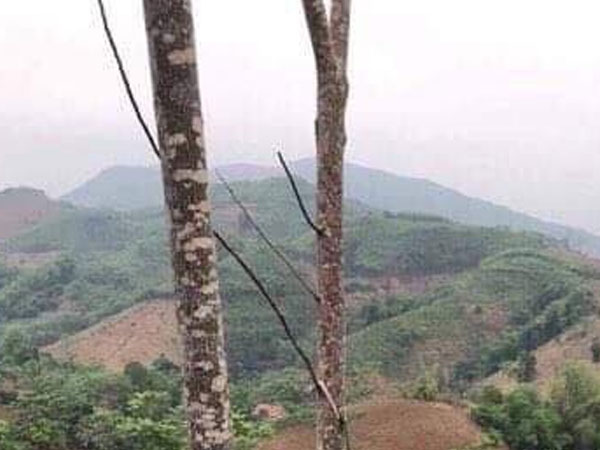 NÓNG: Phát hiện nghi phạm sát hại 2 em vợ ở Yên Bái do mâu thuẫn đất đai chết trong tư thế treo cổ