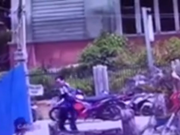 Khách du lịch 'cầm nhầm' chó con của quán cà phê ở Đà Lạt
