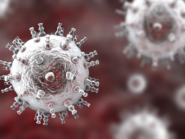 2 virus bệnh tình dục 'giao phối', đe dọa sinh ra siêu bệnh mới