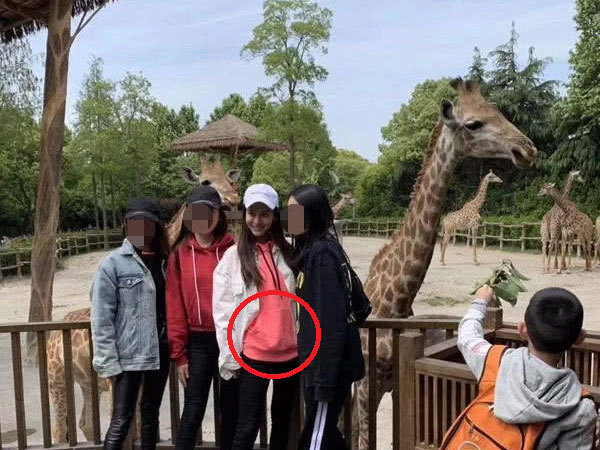 Angelababy một mình đi du lịch nhưng vòng 2 lớn bất thường mới là điều mọi người quan tâm