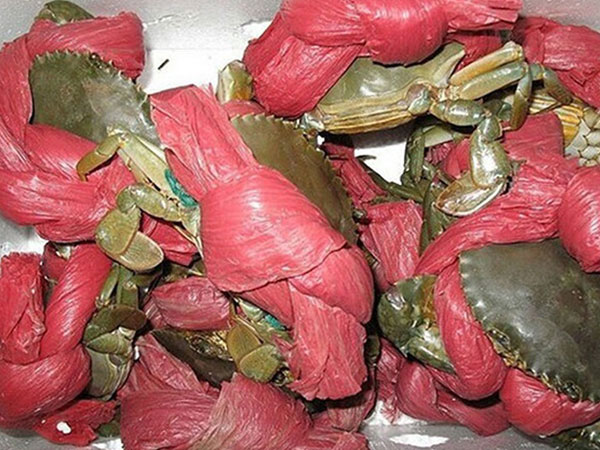 Mua 2,5kg cua 'khuyến mãi' 1,9 kg dây vải: Thanh niên khóc ròng