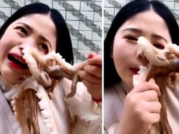 Livestream cảnh ăn bạch tuộc sống, cô gái xinh đẹp suýt bị đối phương 'nuốt chửng' và sự thật kinh hoàng về món ăn này