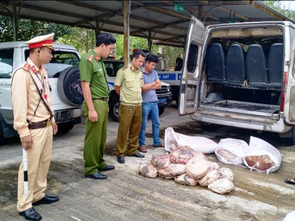Nửa tấn thịt, mỡ động vật hôi thối đang vào Bình Định thì bị bắt