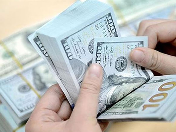 Tỷ giá biến động mạnh nhất kể từ đầu năm đến nay