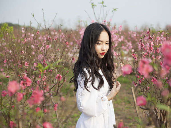 Nhiều chuyên gia đề xuất 'nghỉ Tết âm lịch không quá 7 ngày'