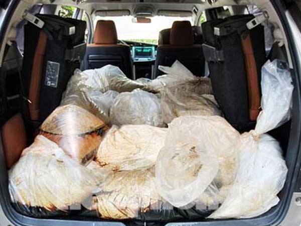 Vì sao lô 500kg ma túy từ Quảng Ninh lọt vào tới TPHCM?