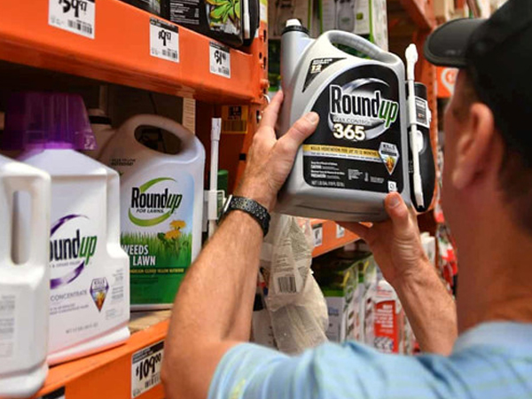 Monsanto phải bồi thường 2 tỷ USD cho cặp vợ chồng ung thư ở Mỹ