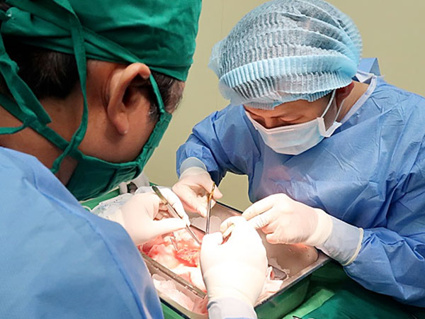 Em trai hiến một quả thận ghép cho chị gái