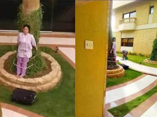 Ôsin bị chủ nhà trói chặt vào gốc cây phơi giữa trời nắng
